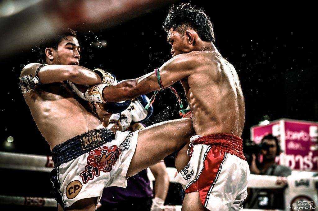 Отзывы на компанию Пиранья в Нижнем Новгороде c фото