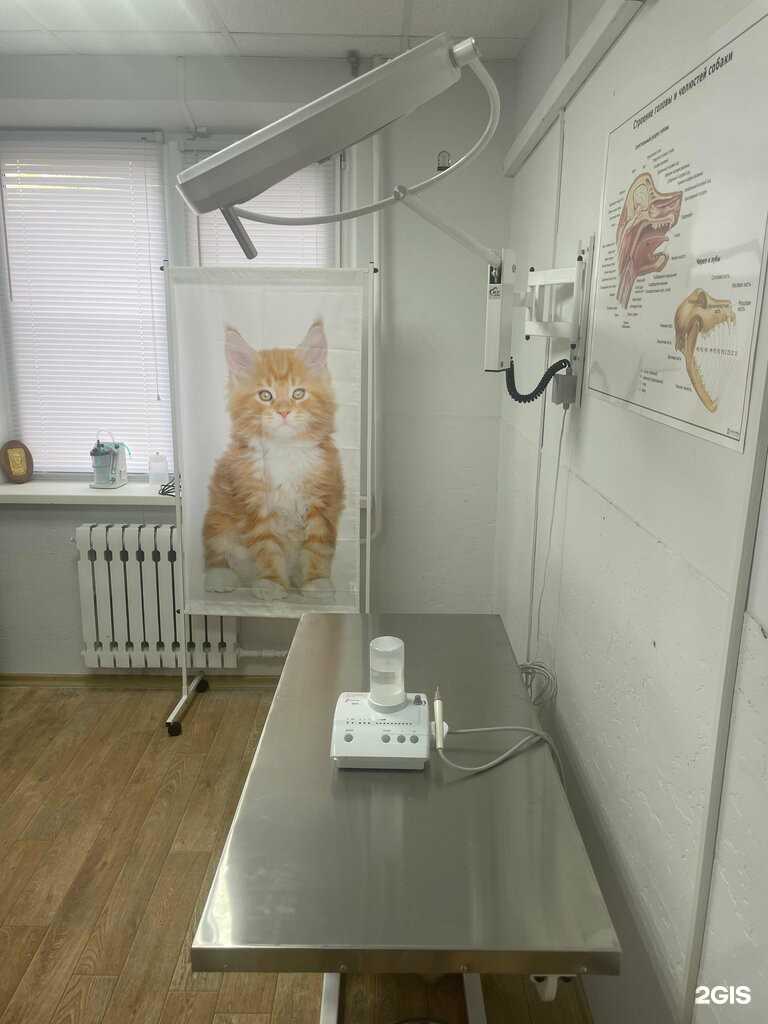 Отзывы на компанию На Восточном в г. Старый Оскол c фото