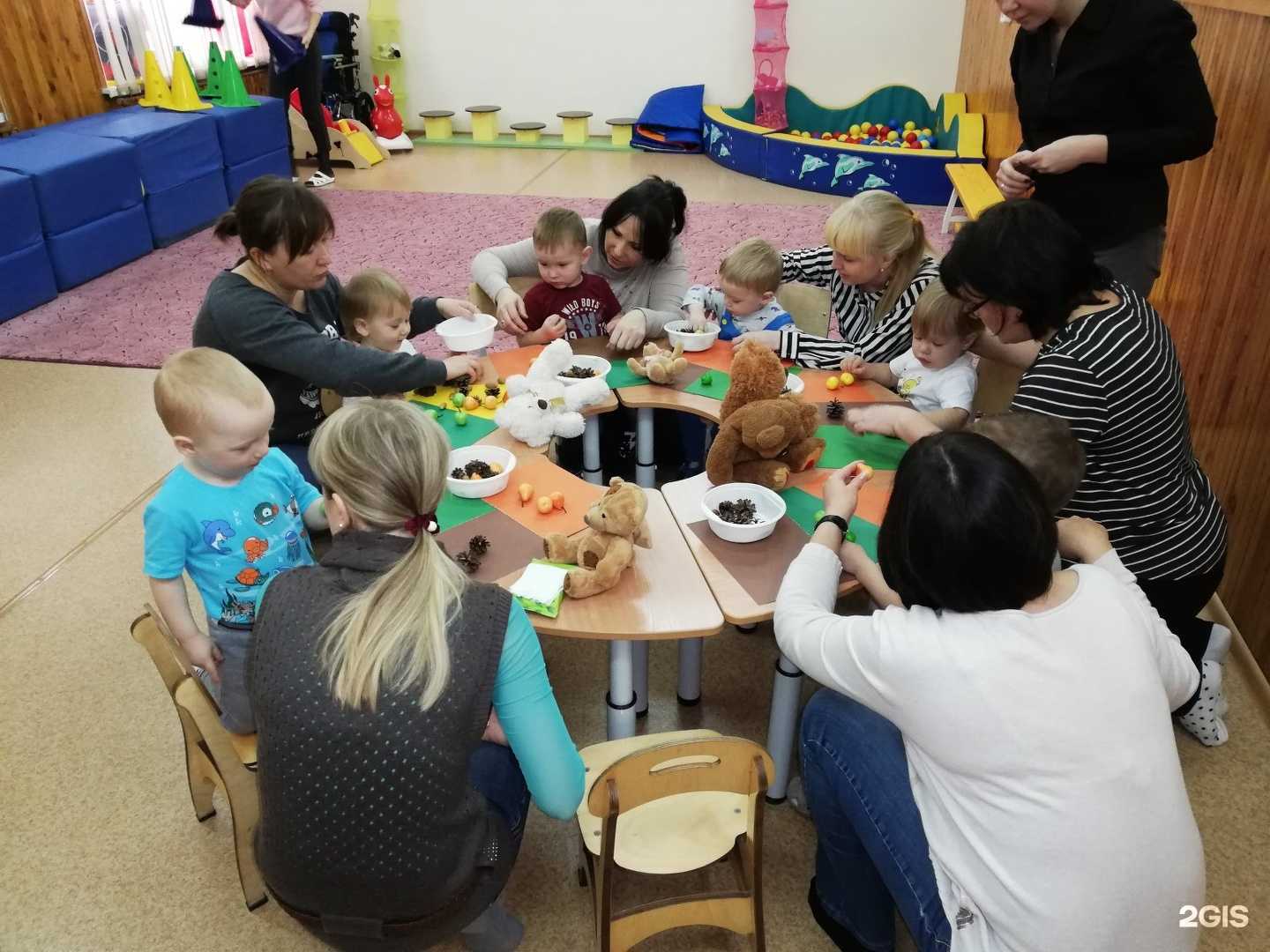 Отзывы на компанию Магистр в Новосибирске c фото