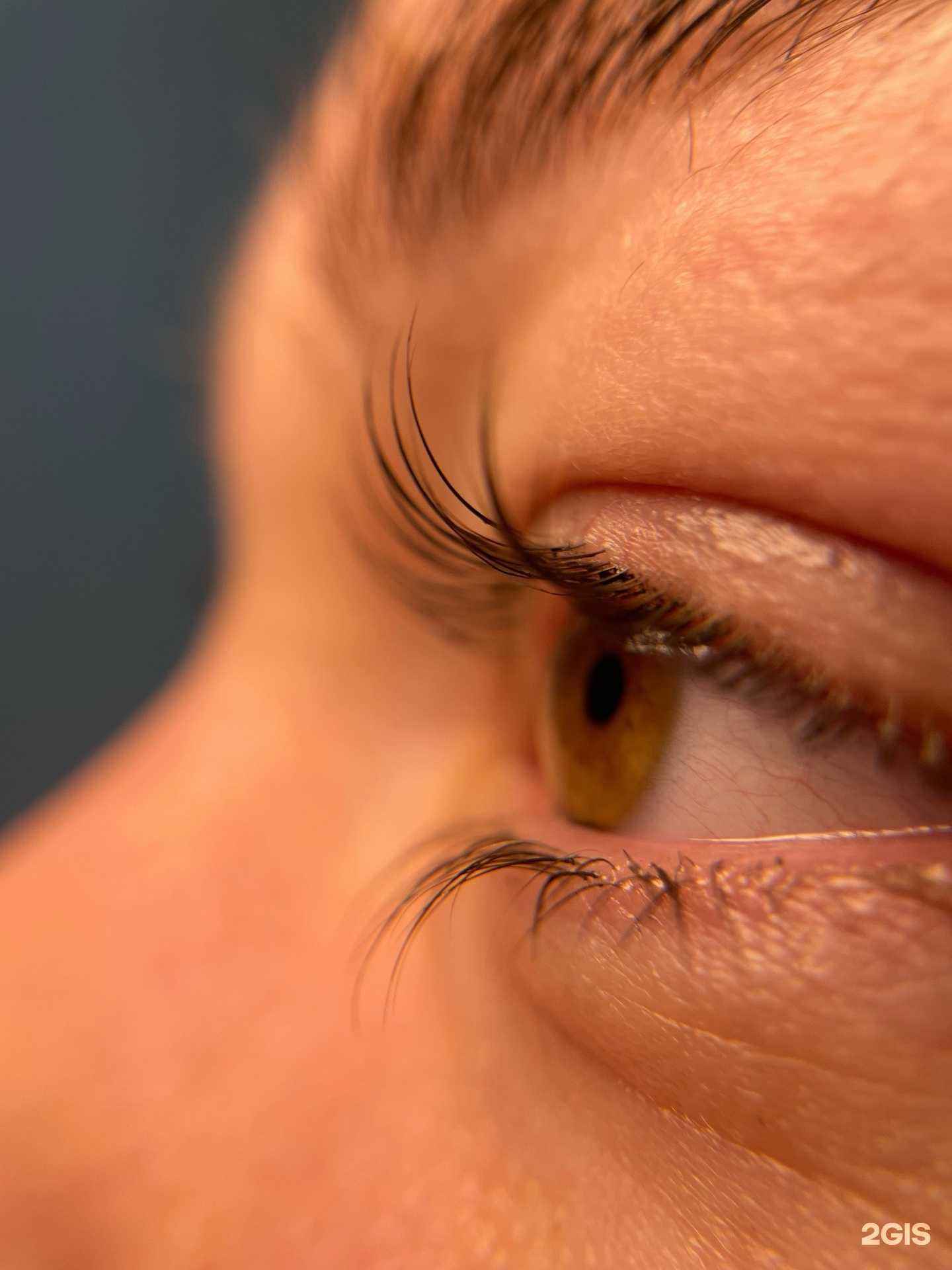 Отзывы на компанию Студия по оформлению бровей и ламинированию ресниц в Бийске c фото