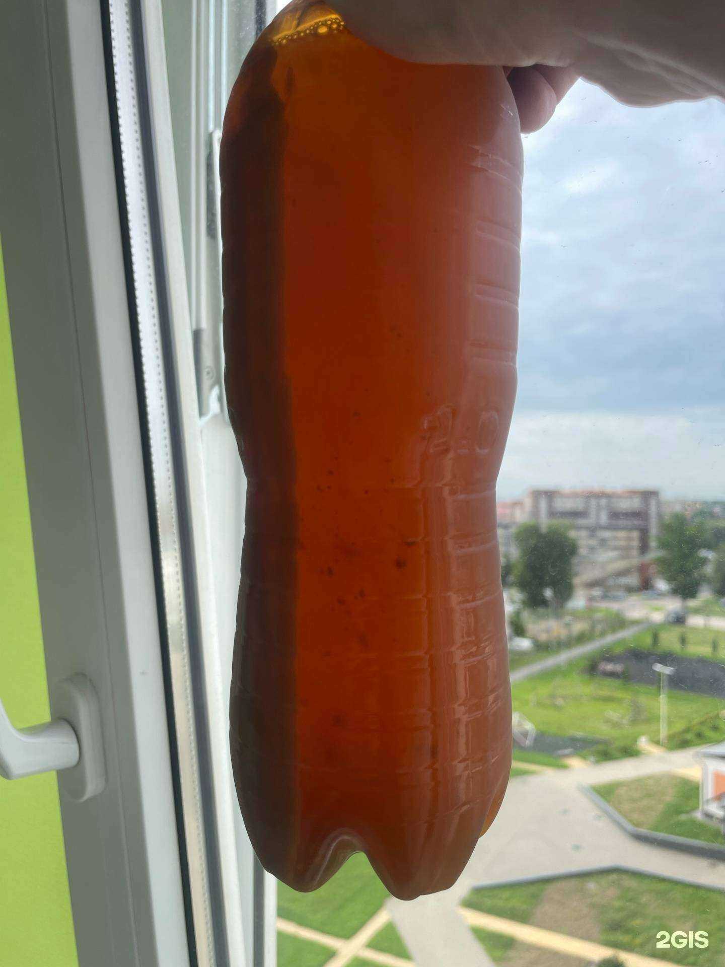 Отзывы на компанию Пивной сокол  в Калининграде c фото