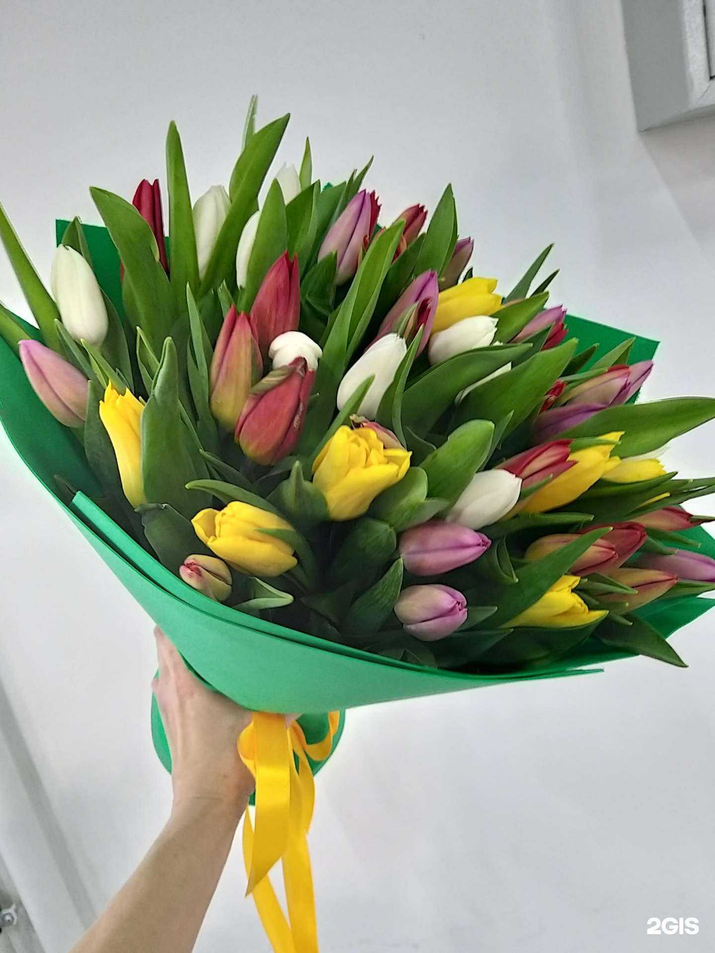 Отзывы на компанию Зеленый мир в Челябинске c фото