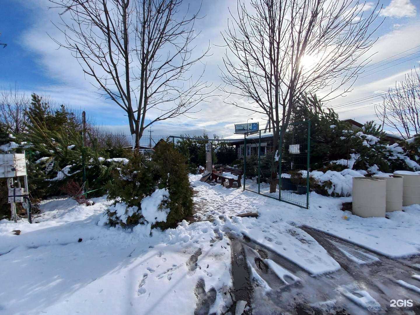 Отзывы на компанию Садовый центр в Краснодаре c фото