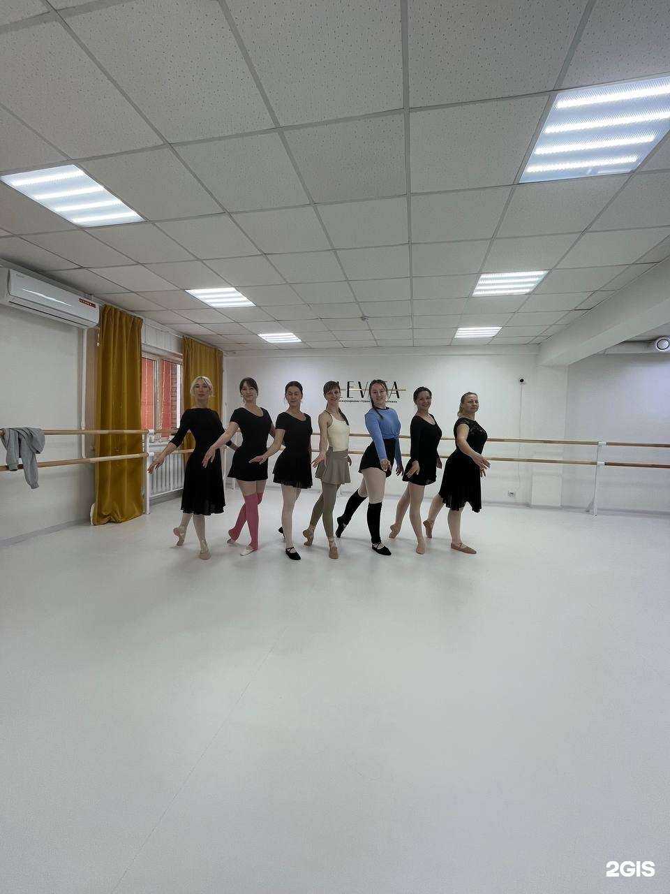 Отзывы на компанию Levita в Кемерове c фото