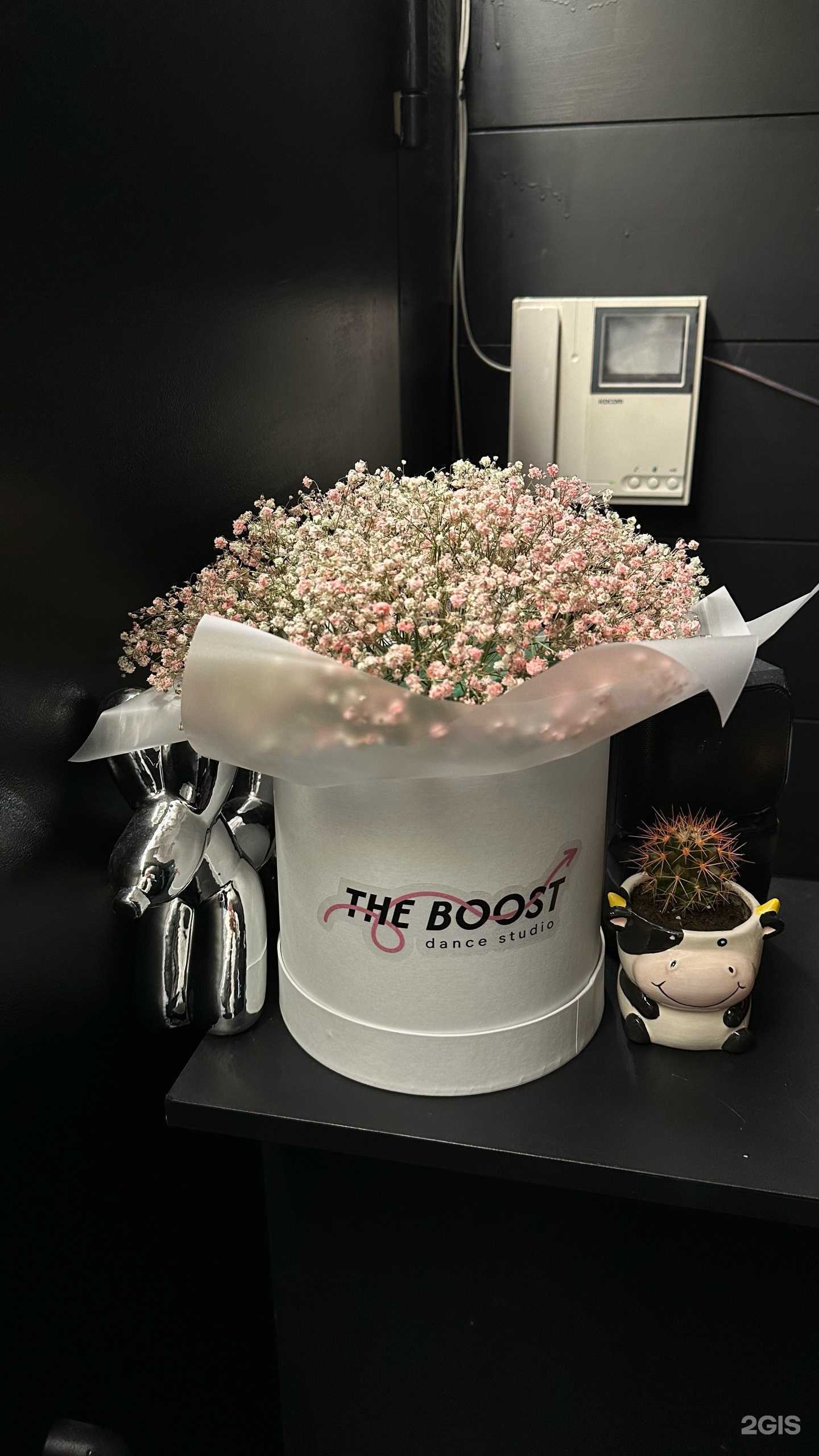 Отзывы на компанию The boost в г. Новосибирск c фото