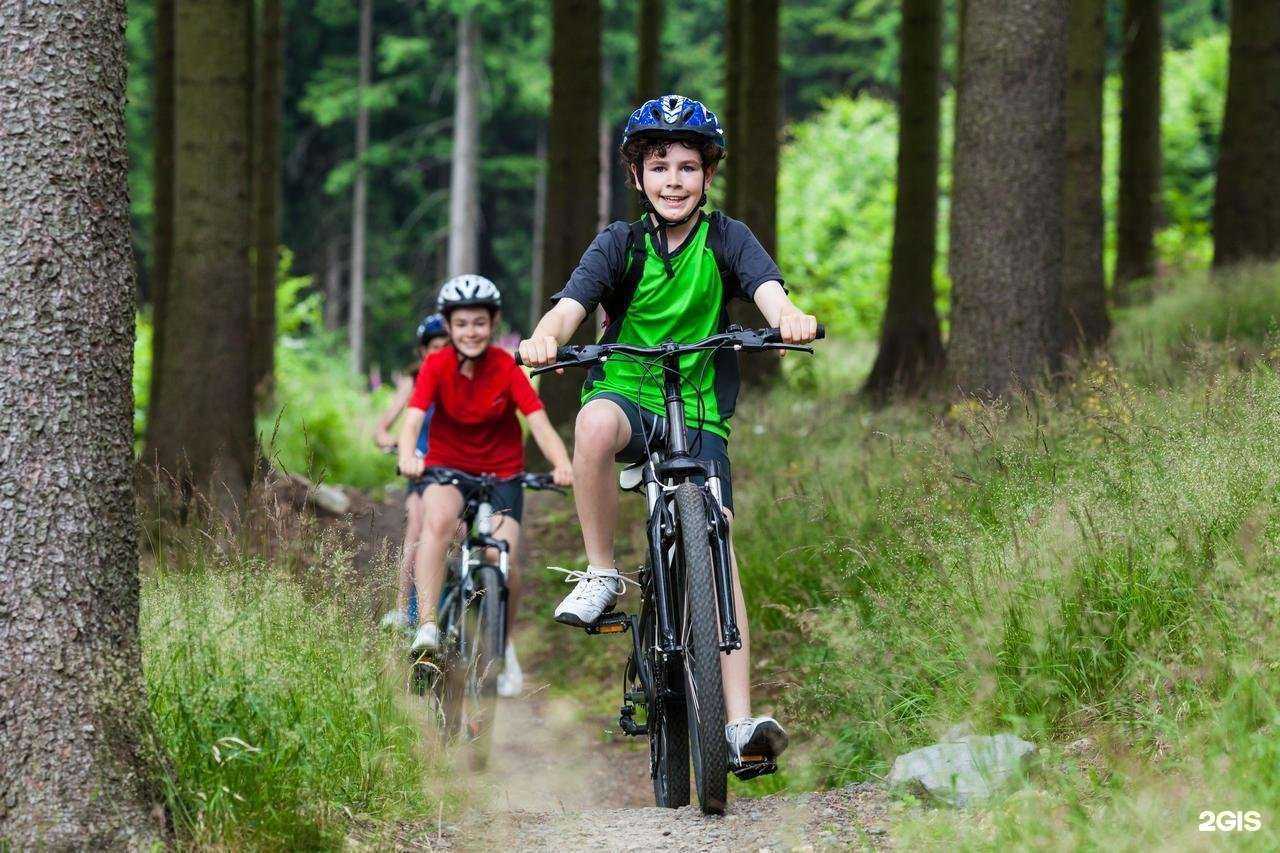 Отзывы на компанию Добрый лесник в Энгельсе c фото