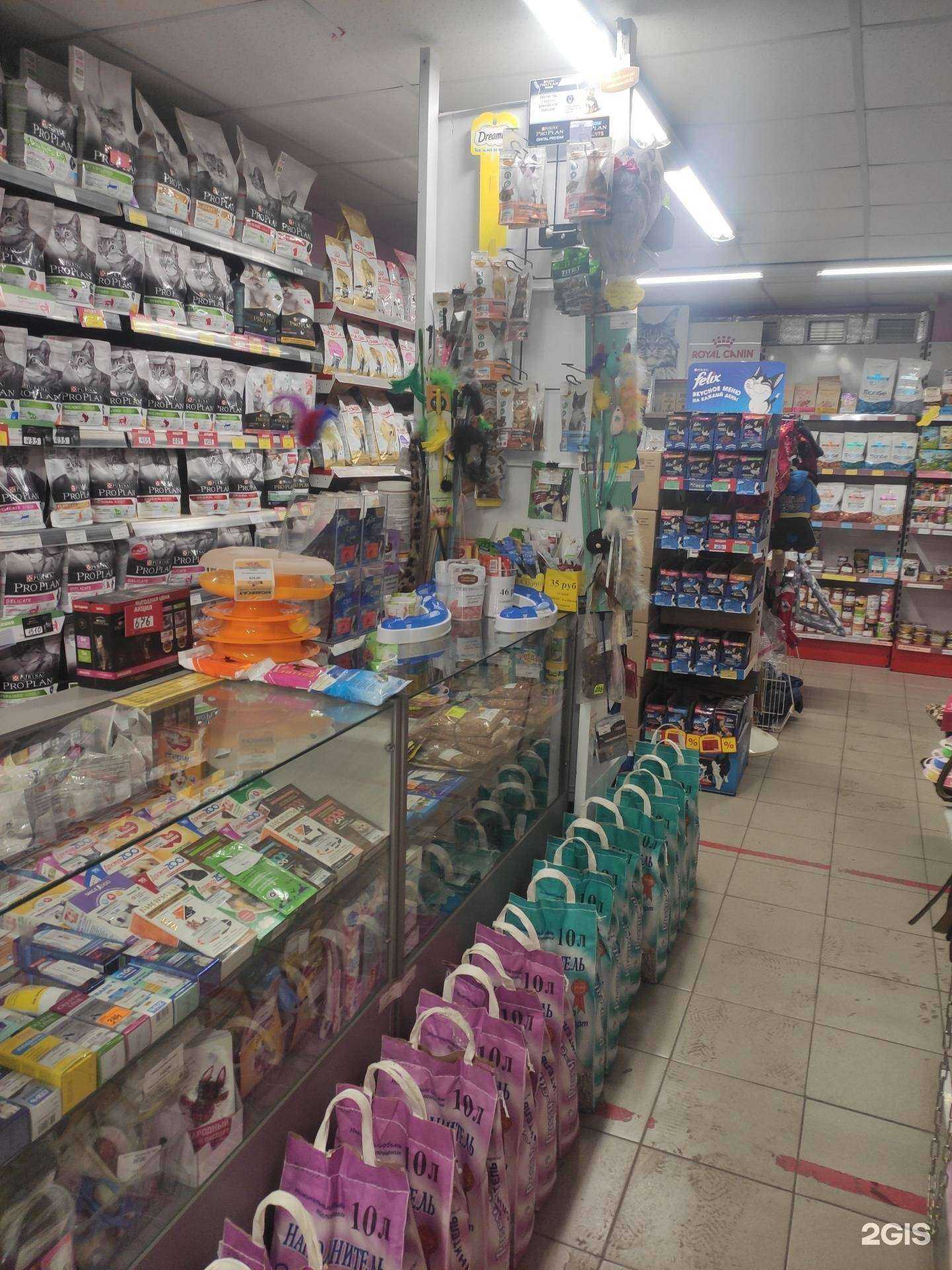 Отзывы на компанию Хвостик в Нижнем Новгороде c фото