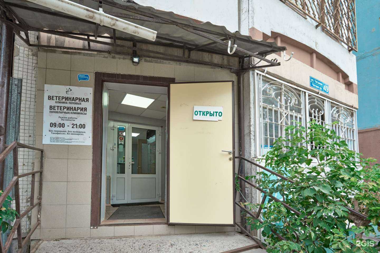 Отзывы на компанию Ветеринарная клиника Поповых в Казани c фото