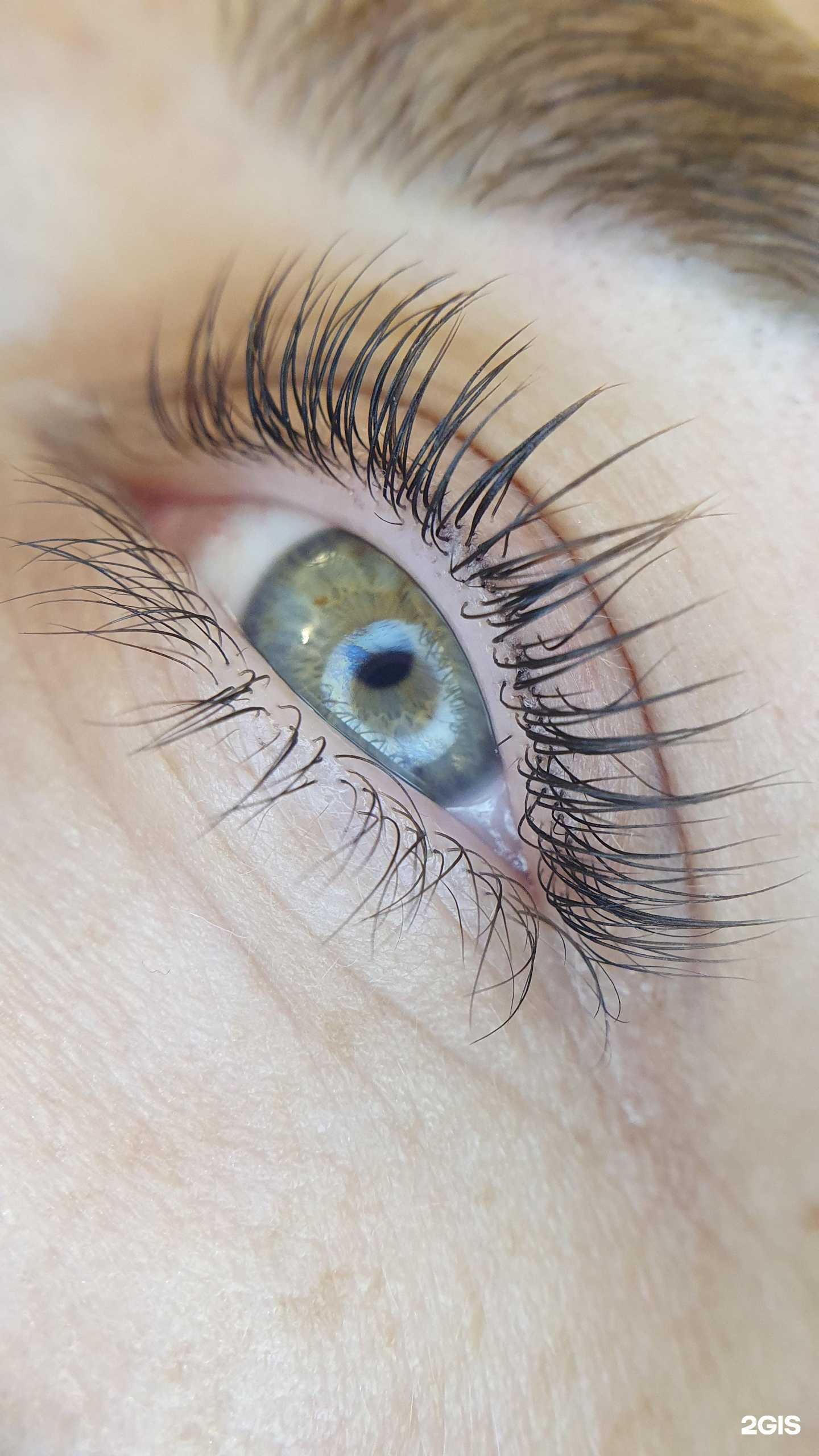 Отзывы на компанию Nude в г. Красноярск c фото