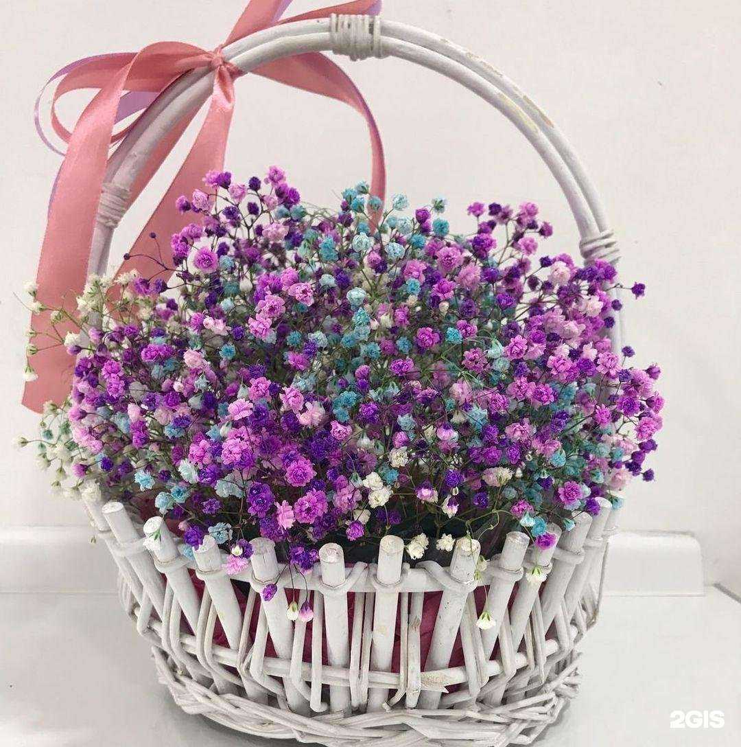 Отзывы на компанию Brend Flowers в г. Грозный c фото