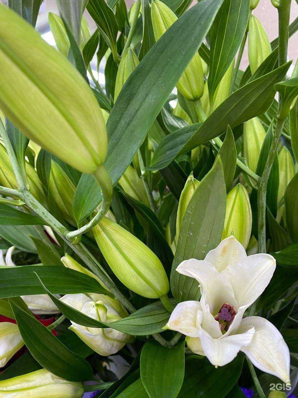 Отзывы на компанию Жасмина в Томске c фото