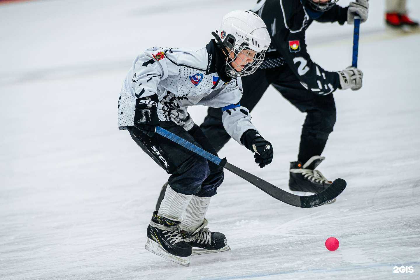 Отзывы на компанию СШОР по хоккею с мячом в Кемерове c фото