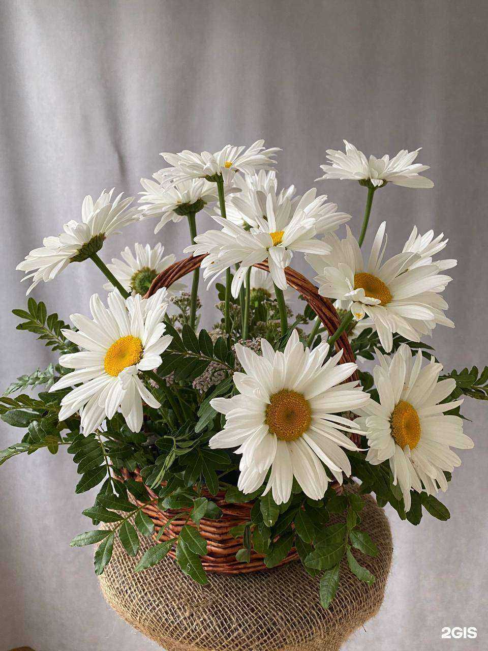 Отзывы на компанию Ландшафт и цветы от Анны Москвич в Хабаровске c фото