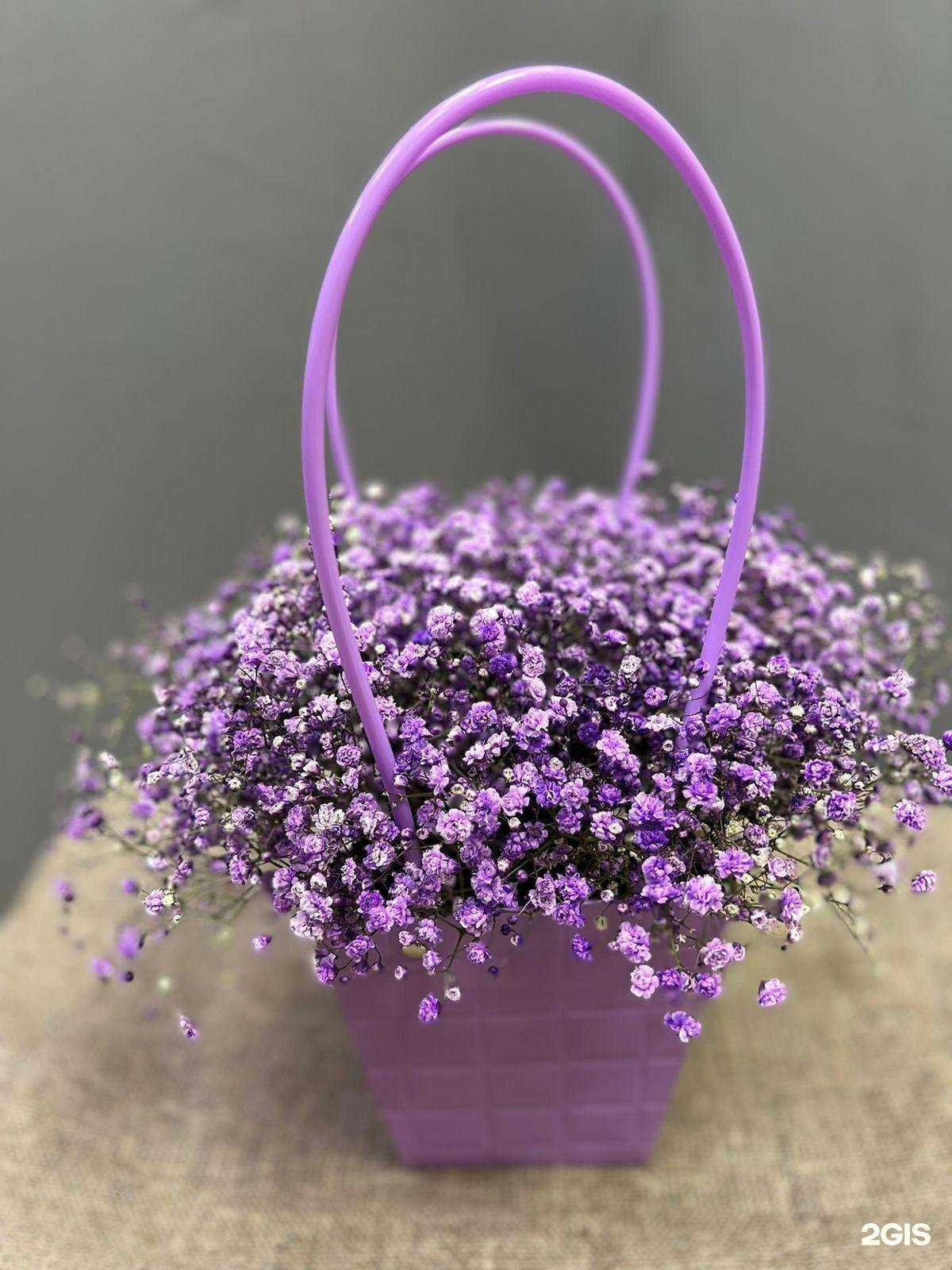 Отзывы на компанию Студия цветов в Новом Уренгое c фото