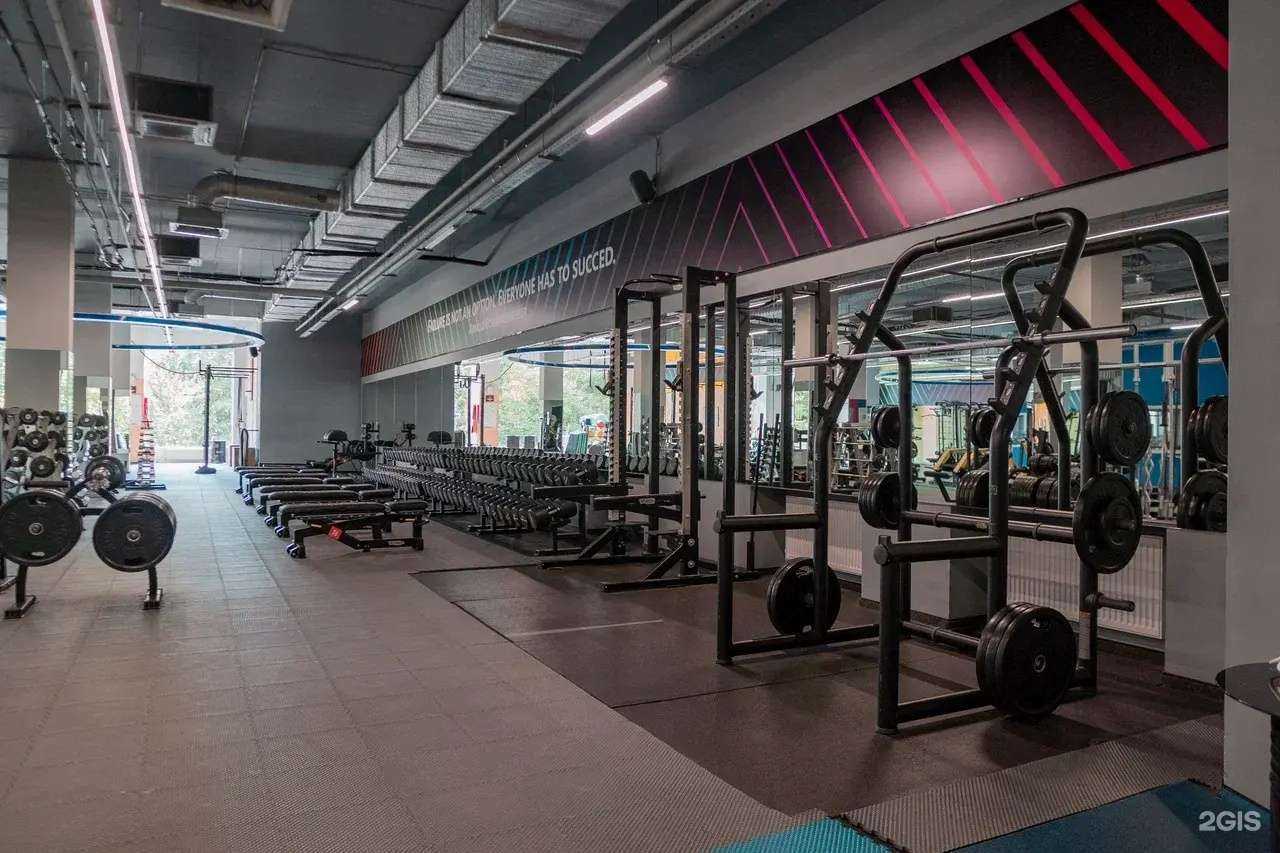 Отзывы на компанию Alex Fitness в г. Краснодар c фото