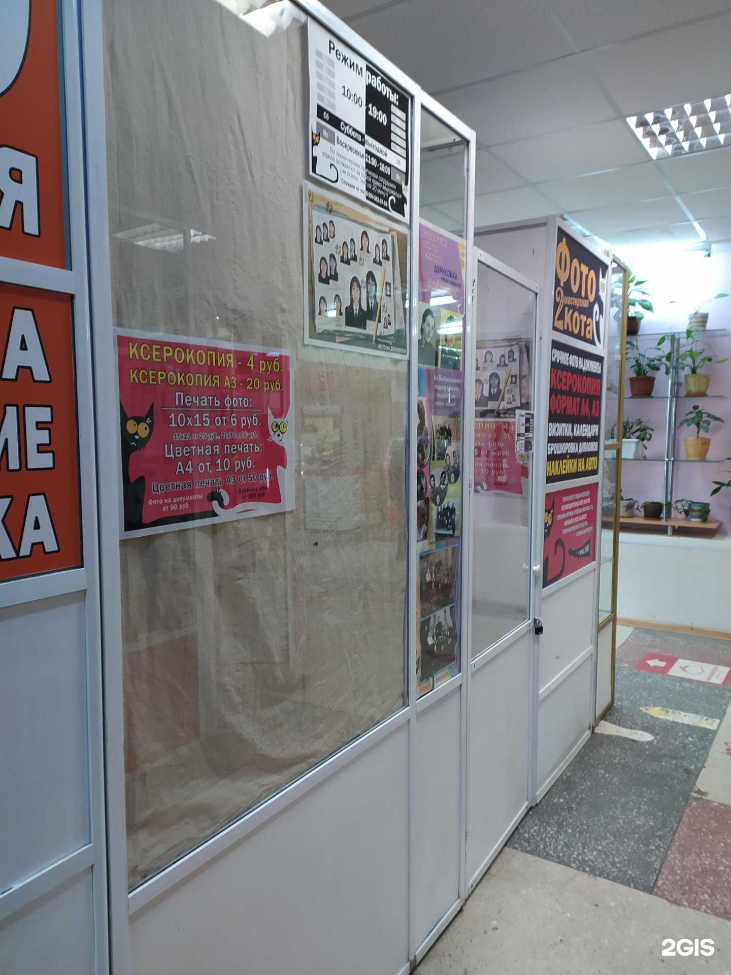 Отзывы на компанию 2кота в г. Омск c фото