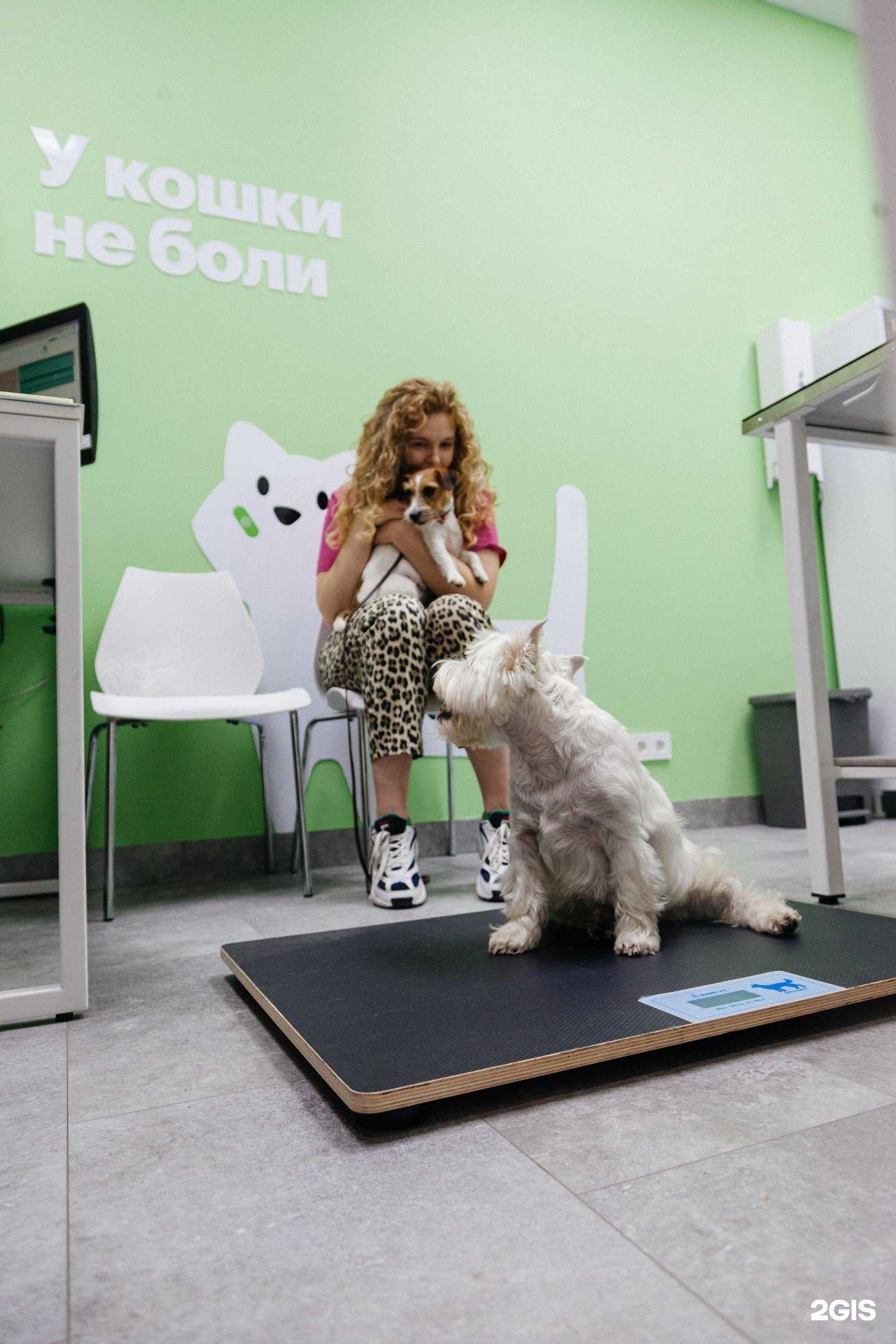 Отзывы на компанию Мокрый нос в Новосибирске c фото