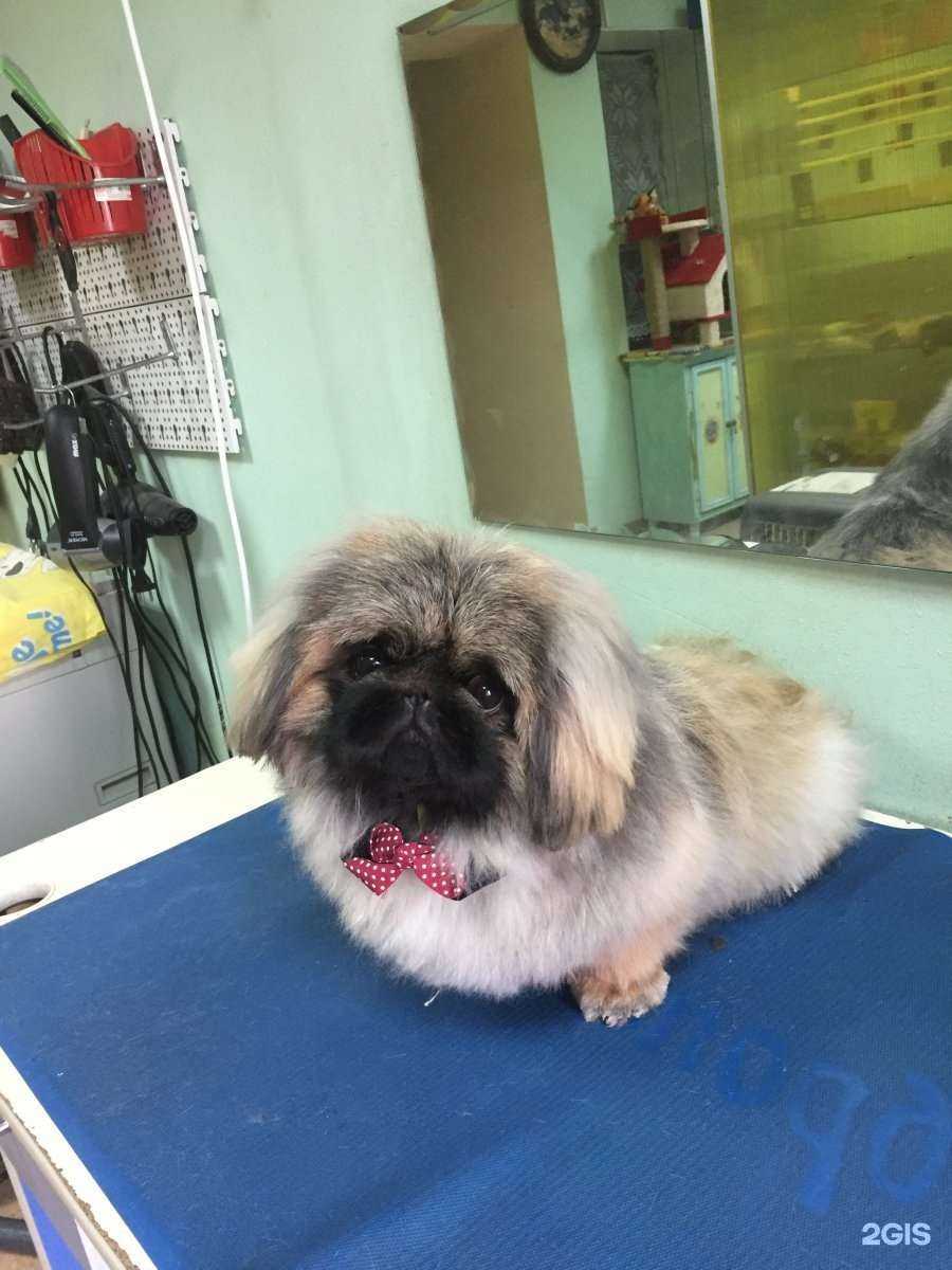 Отзывы на компанию Модный хвостик в Артёме c фото