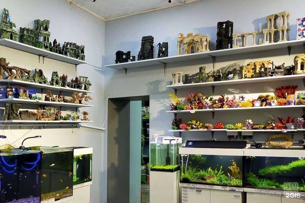 Отзывы на компанию АкваМир в г. Тюмень c фото