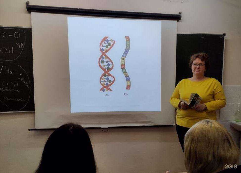 Отзывы на компанию Наша школа в Петрозаводске c фото