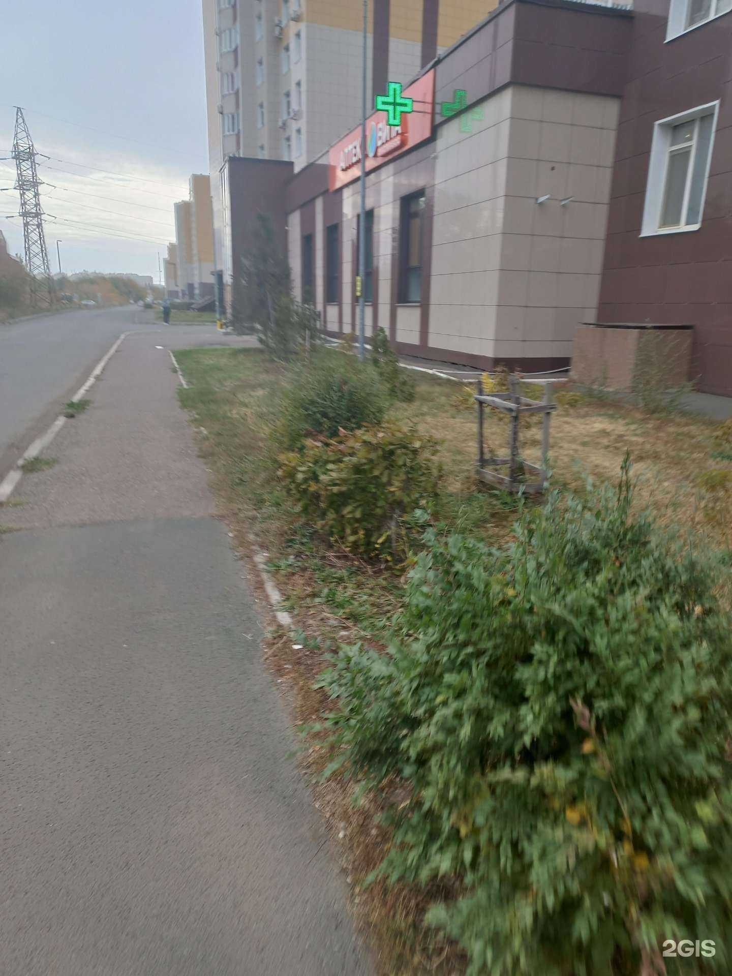 Отзывы на компанию Вита в Оренбурге c фото - фотография 2 из 2