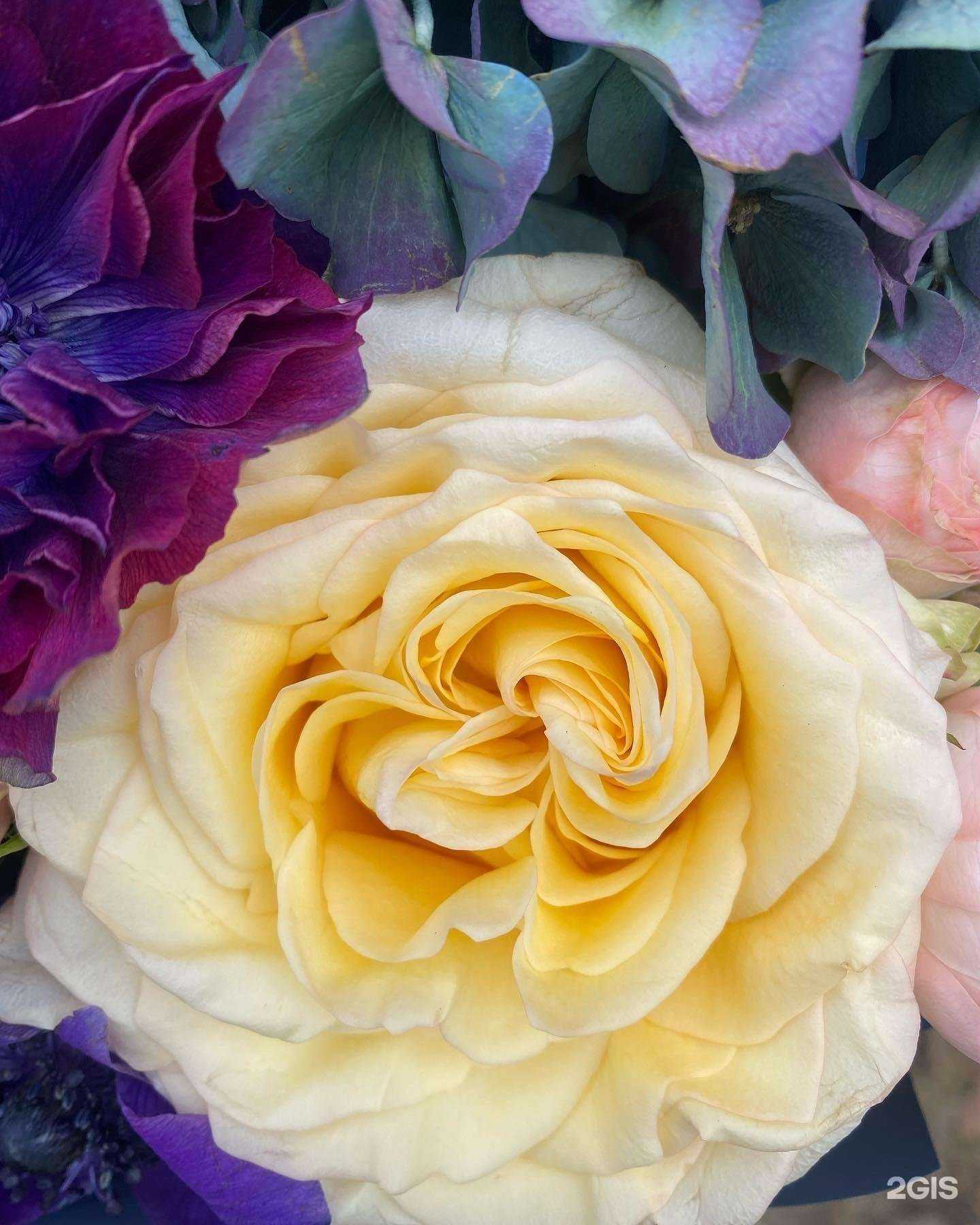 Отзывы на компанию Дом анемон в г. Одинцово c фото