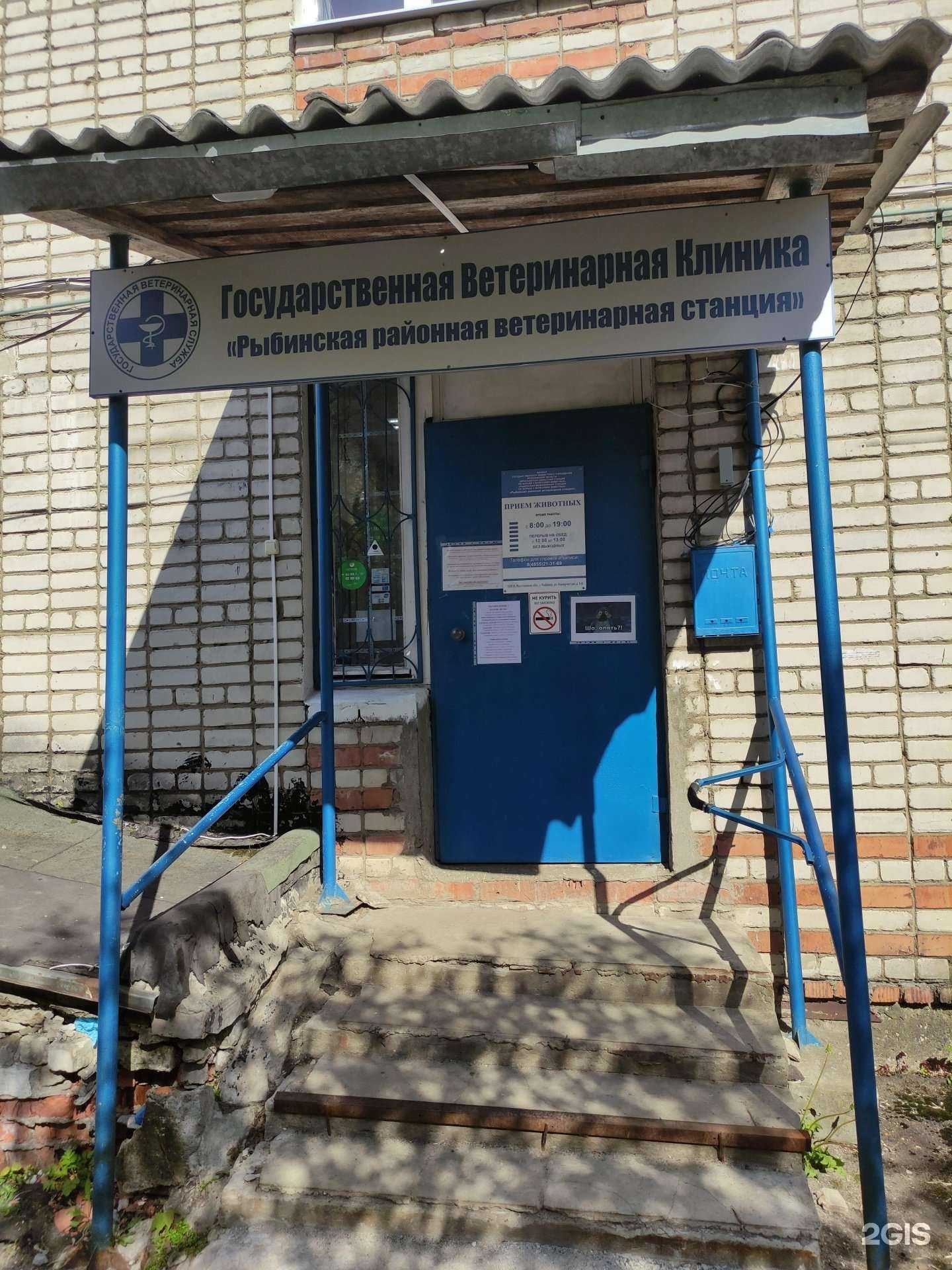 Отзывы на компанию Рыбинская районная ветеринарная станция в Рыбинске c фото