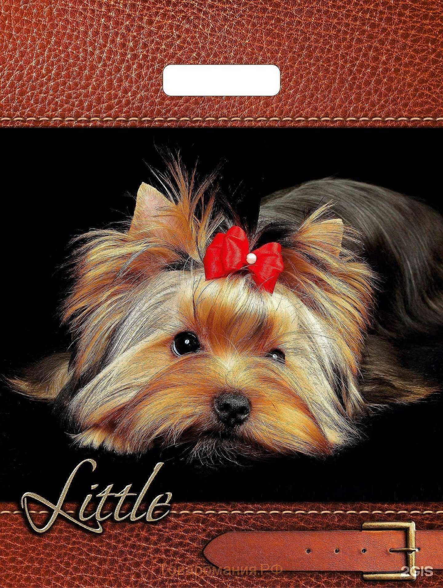 Отзывы на компанию Комета в Химках c фото