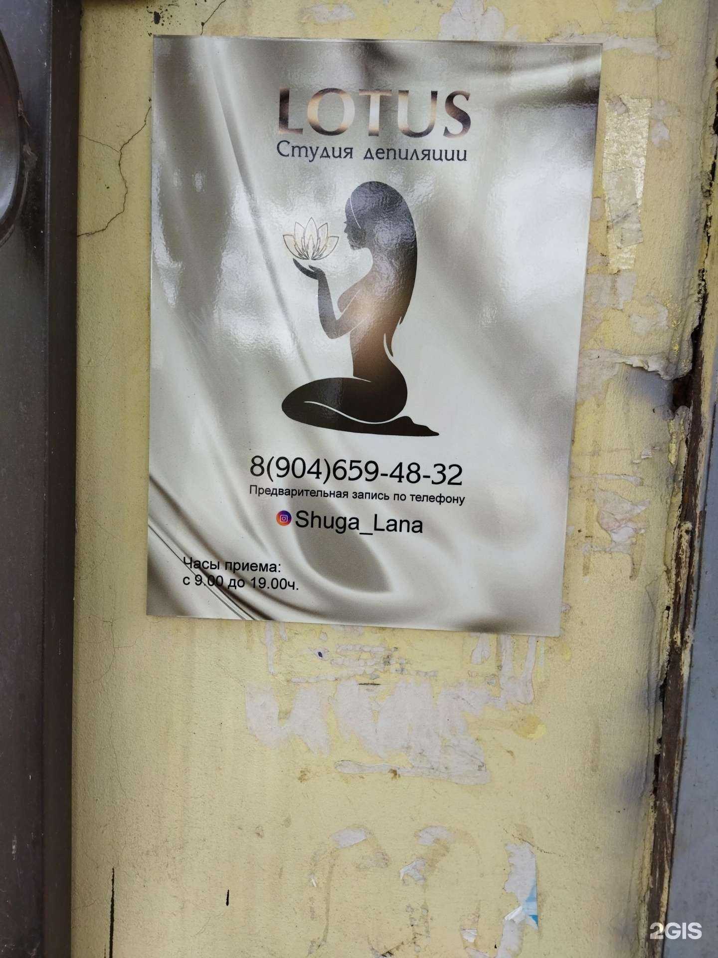 Отзывы на компанию Лотос в Коврове c фото