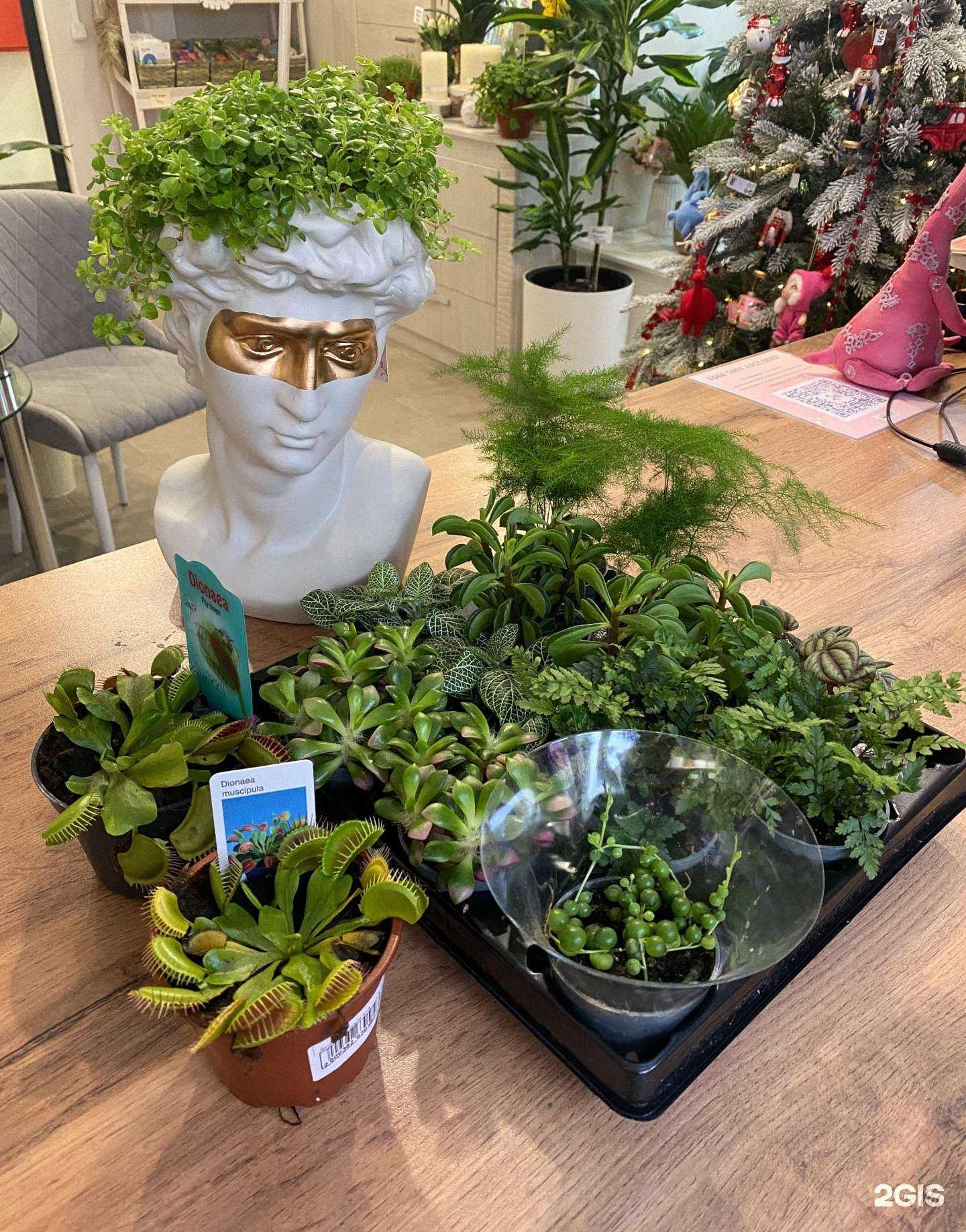 Отзывы на компанию Цветочная шкатулка в Балашихе c фото