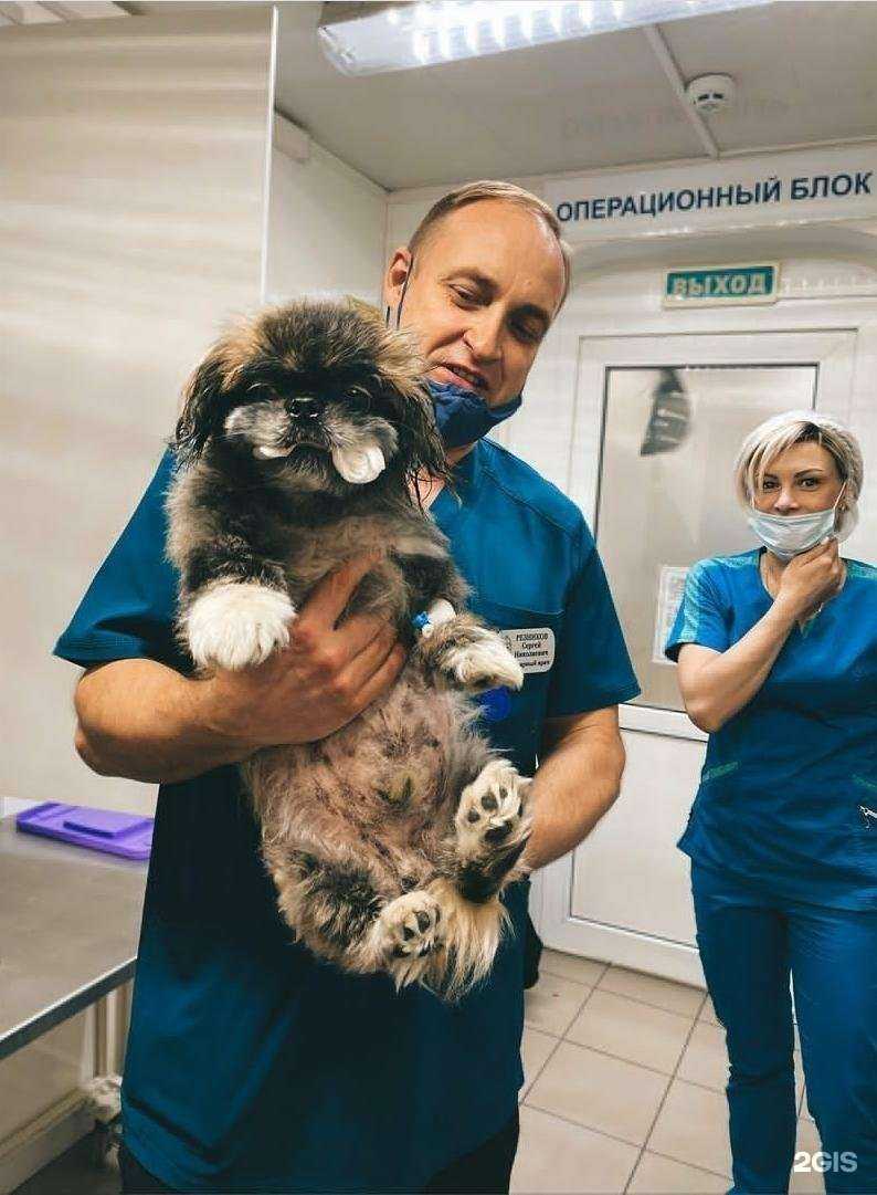 Отзывы на компанию Ветеринарная клиника на Бабушкина в г. Краснодар c фото