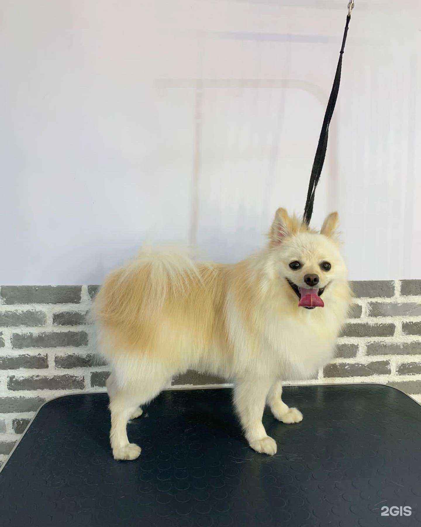 Отзывы на компанию Yumi в г. Якутск c фото