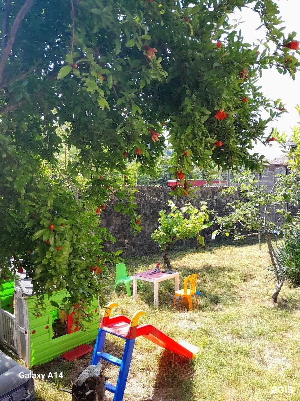 Отзывы на компанию  Семья в Сочи c фото