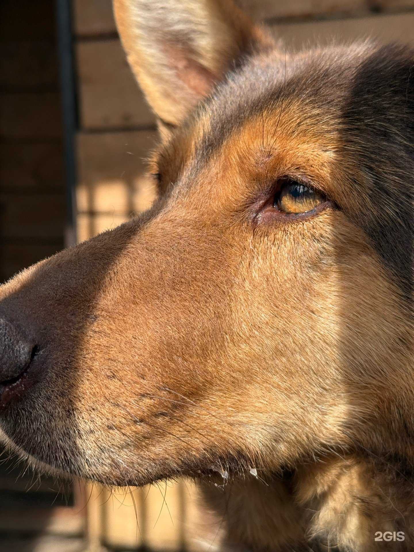 Отзывы на компанию Живой мир в Жигулевске c фото