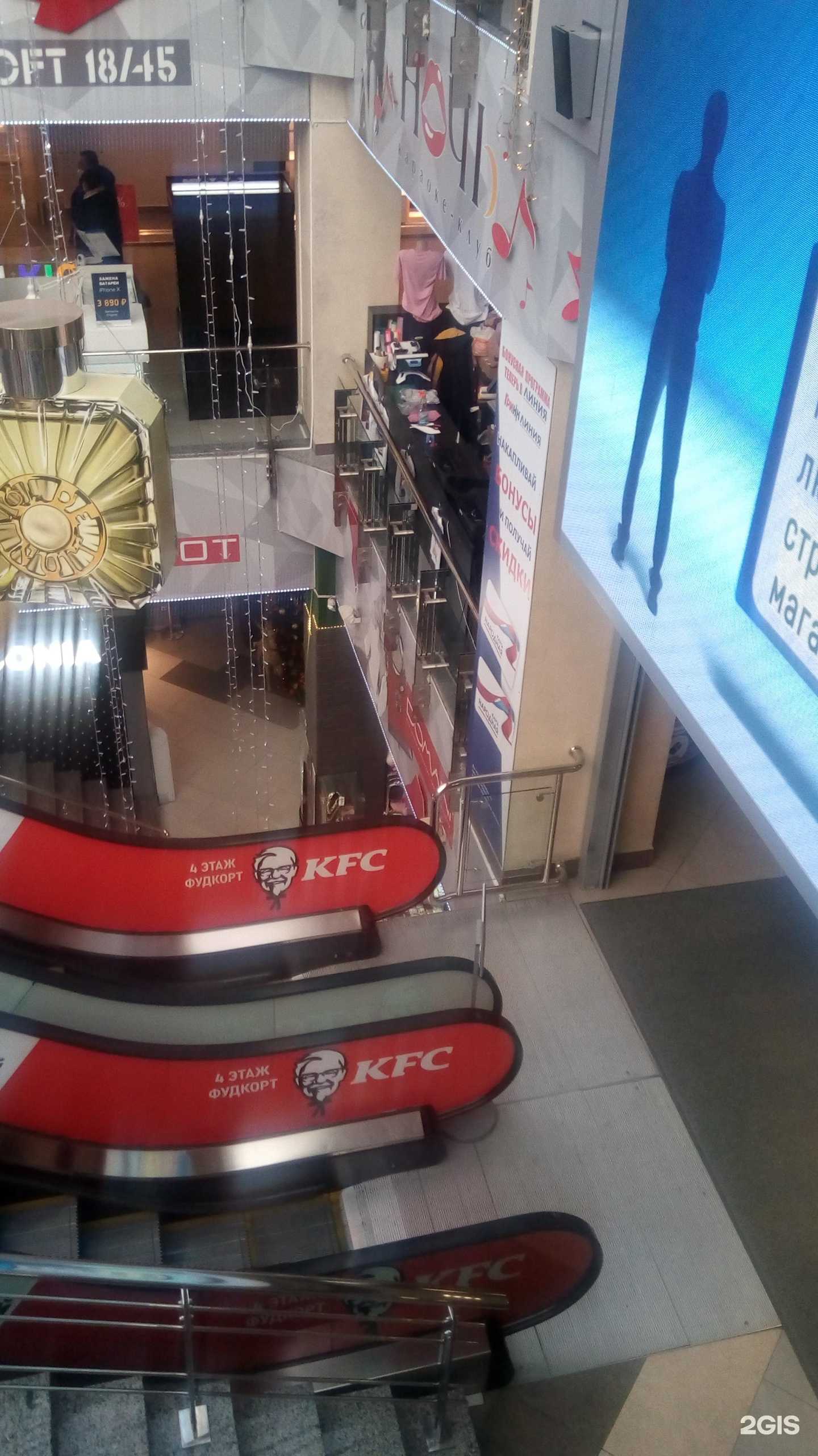 Отзывы на компанию Лемур в Белгороде c фото