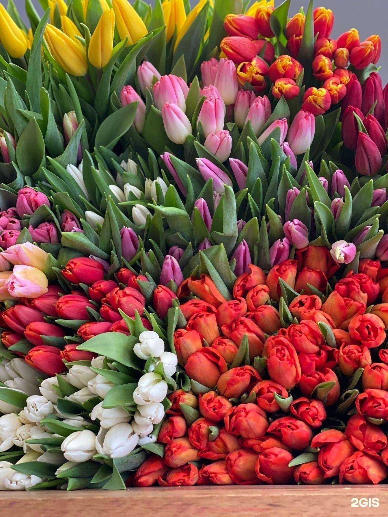 Отзывы на компанию Цветы Premium в Кирове c фото