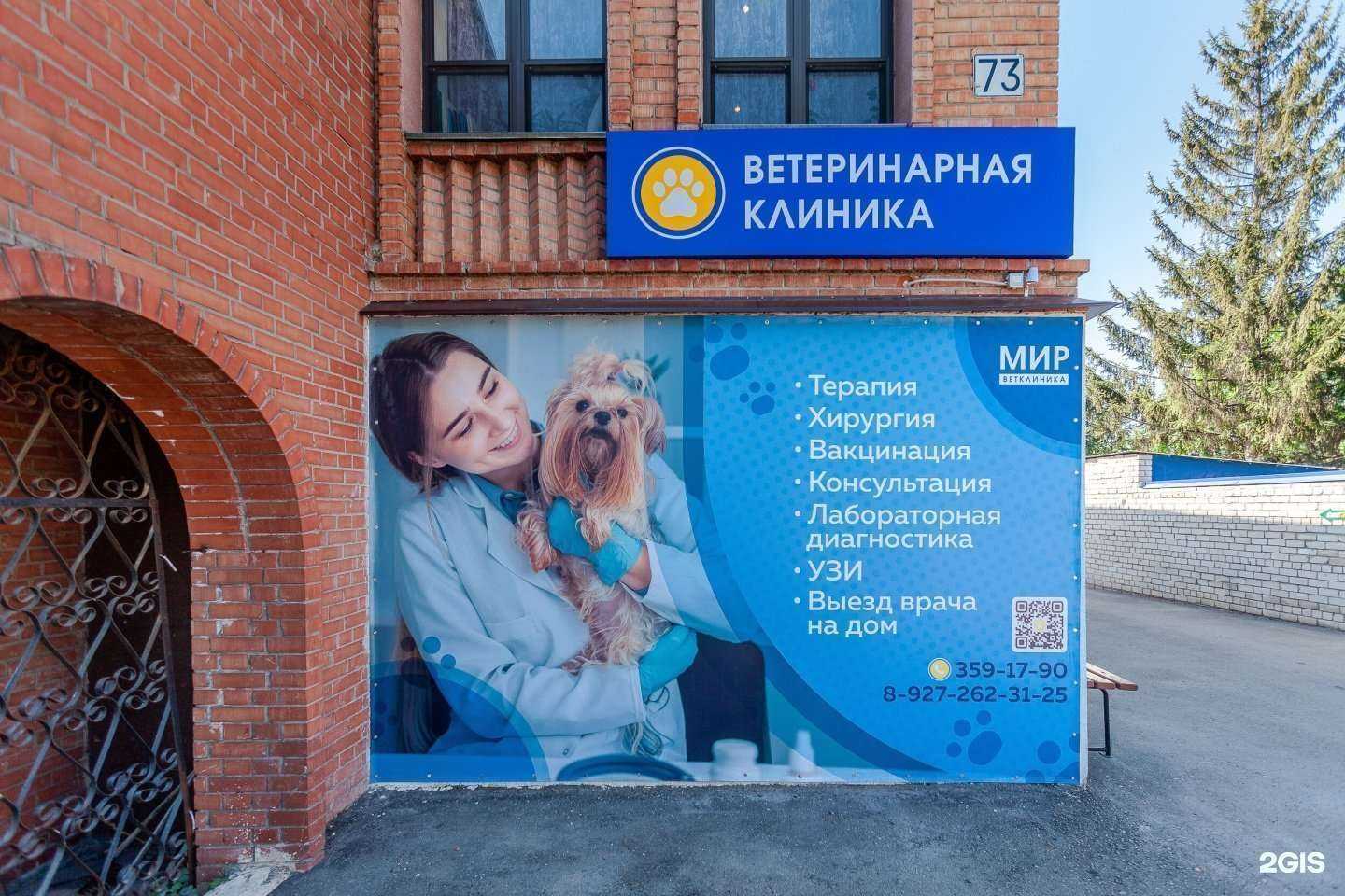 Отзывы на компанию Мир в г. Самара c фото