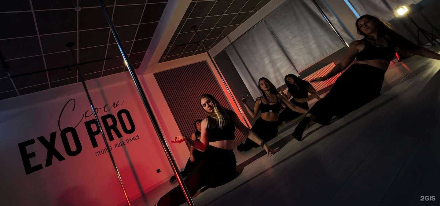 Отзывы на компанию Exo pro в г. Сочи c фото