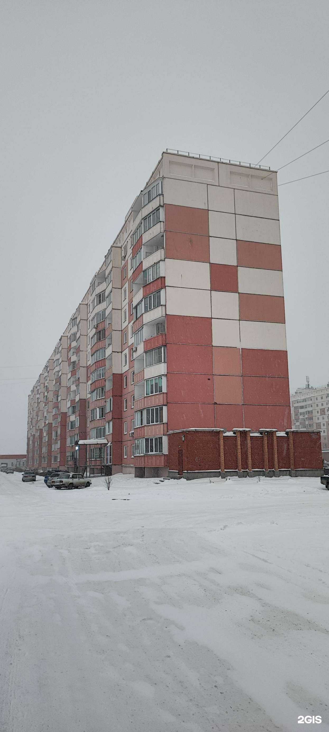 Отзывы на компанию VetKent в Новосибирске c фото - фотография 2 из 2