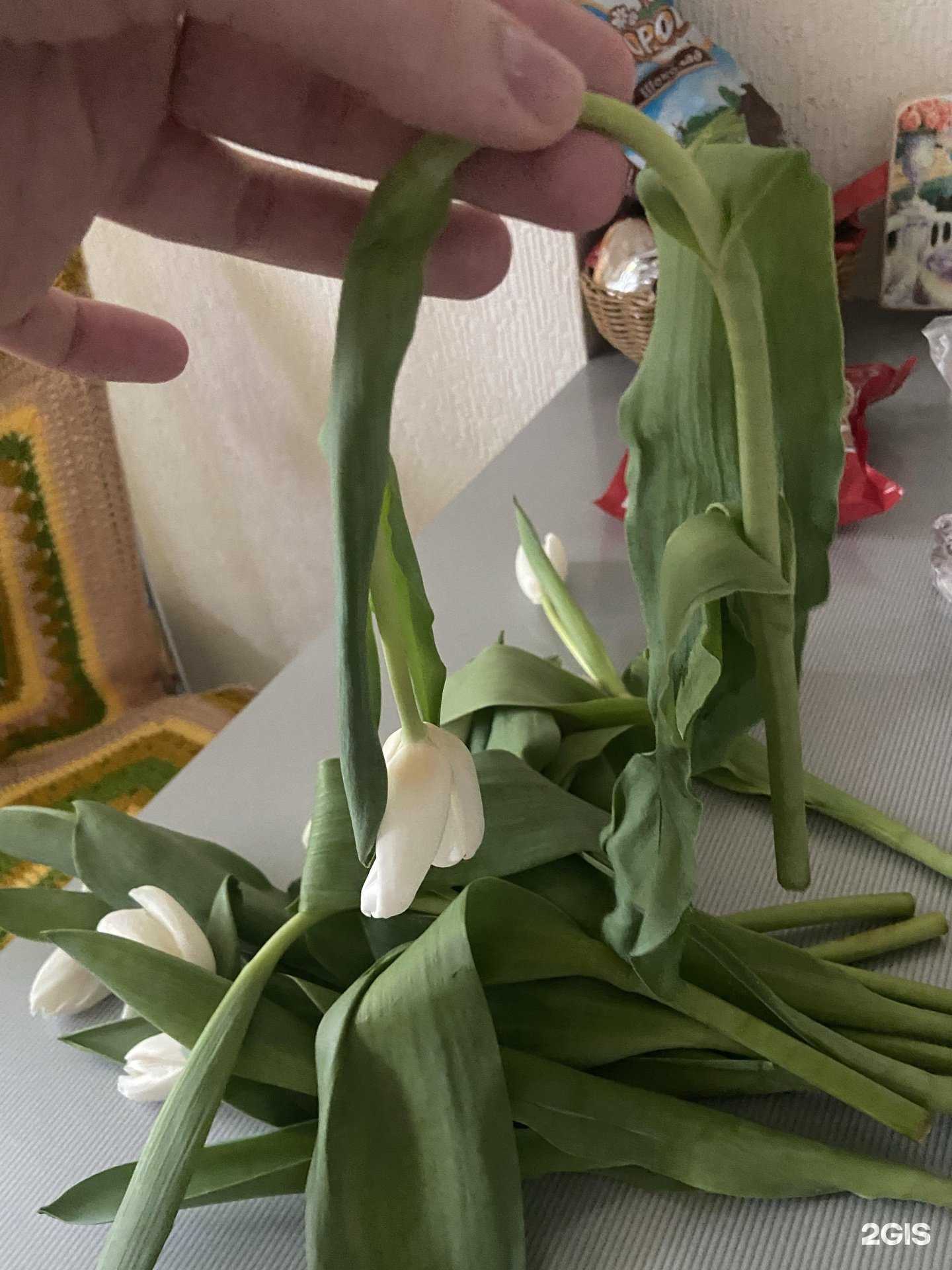 Отзывы на компанию Букет в Пушкине c фото