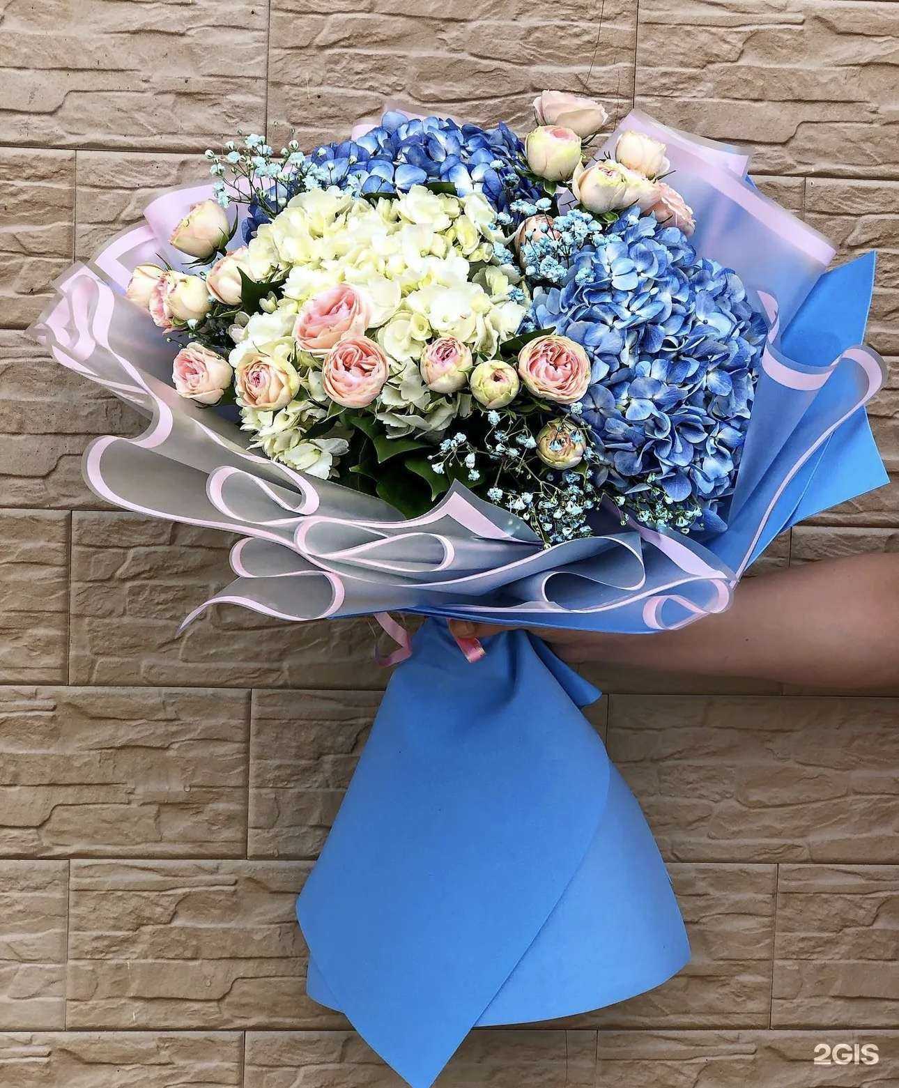 Отзывы на компанию Роза Сочи 24 в Сочи c фото