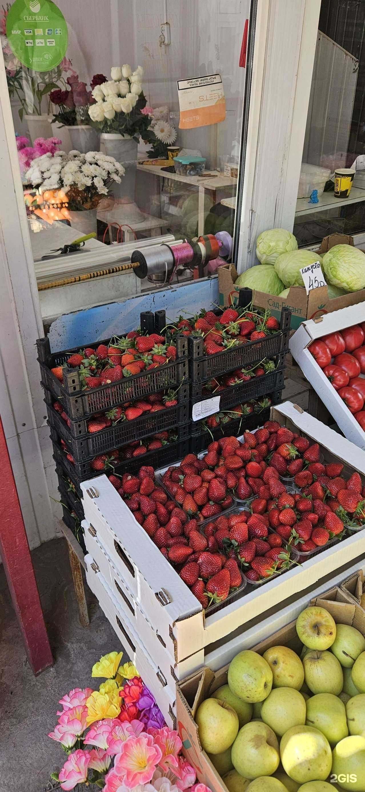 Отзывы на компанию Амир 34  в Волгограде c фото