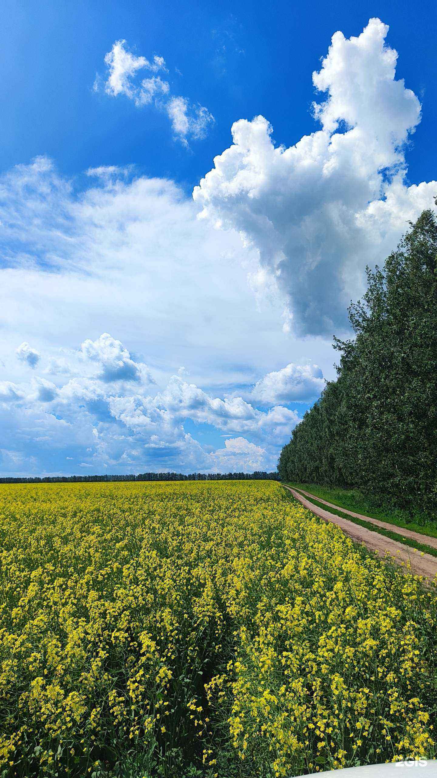 Отзывы на компанию Рублёвъ в Городеце c фото