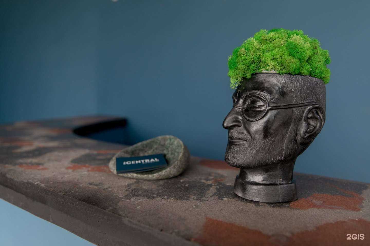 Отзывы на компанию The CENTRAL в Находке c фото