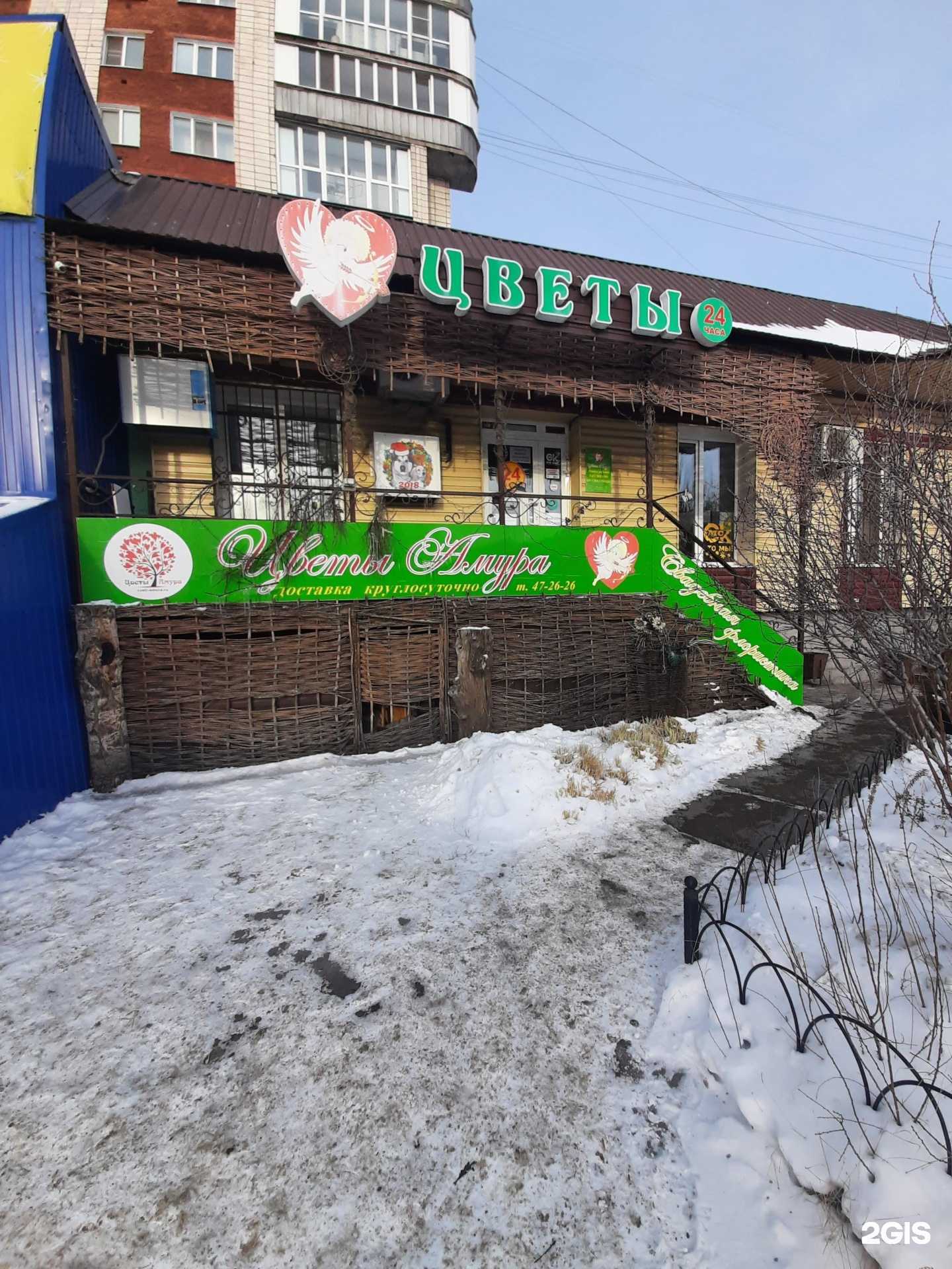 Отзывы на компанию Цветы Амура в г. Омск c фото