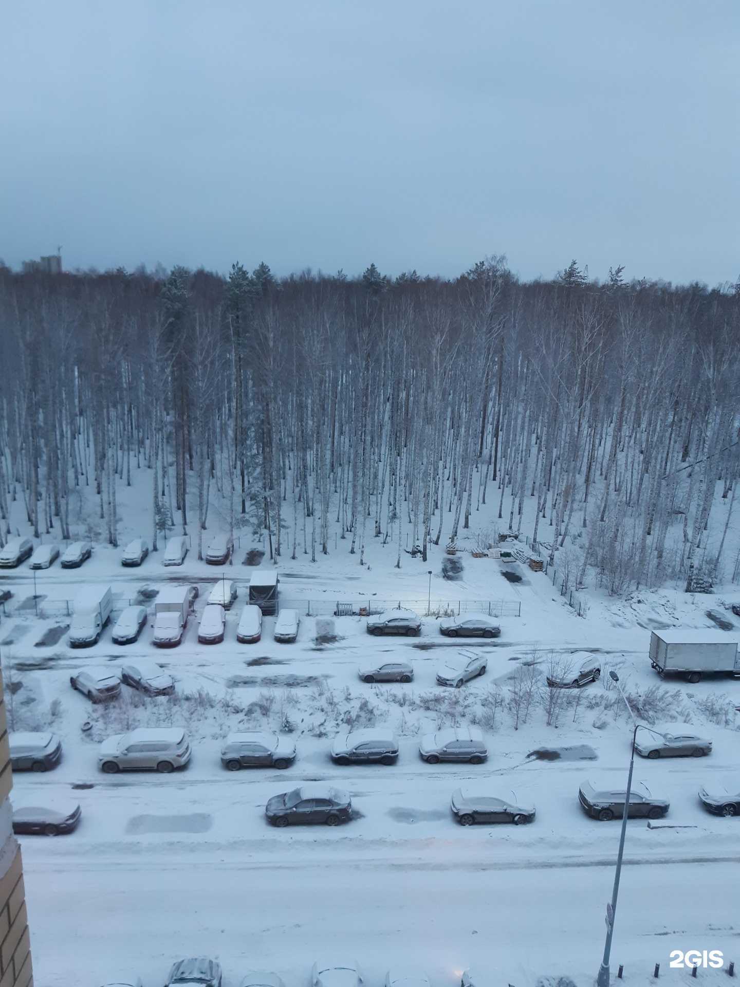 Отзывы на компанию Студия мастеров массажа в г. Екатеринбург c фото