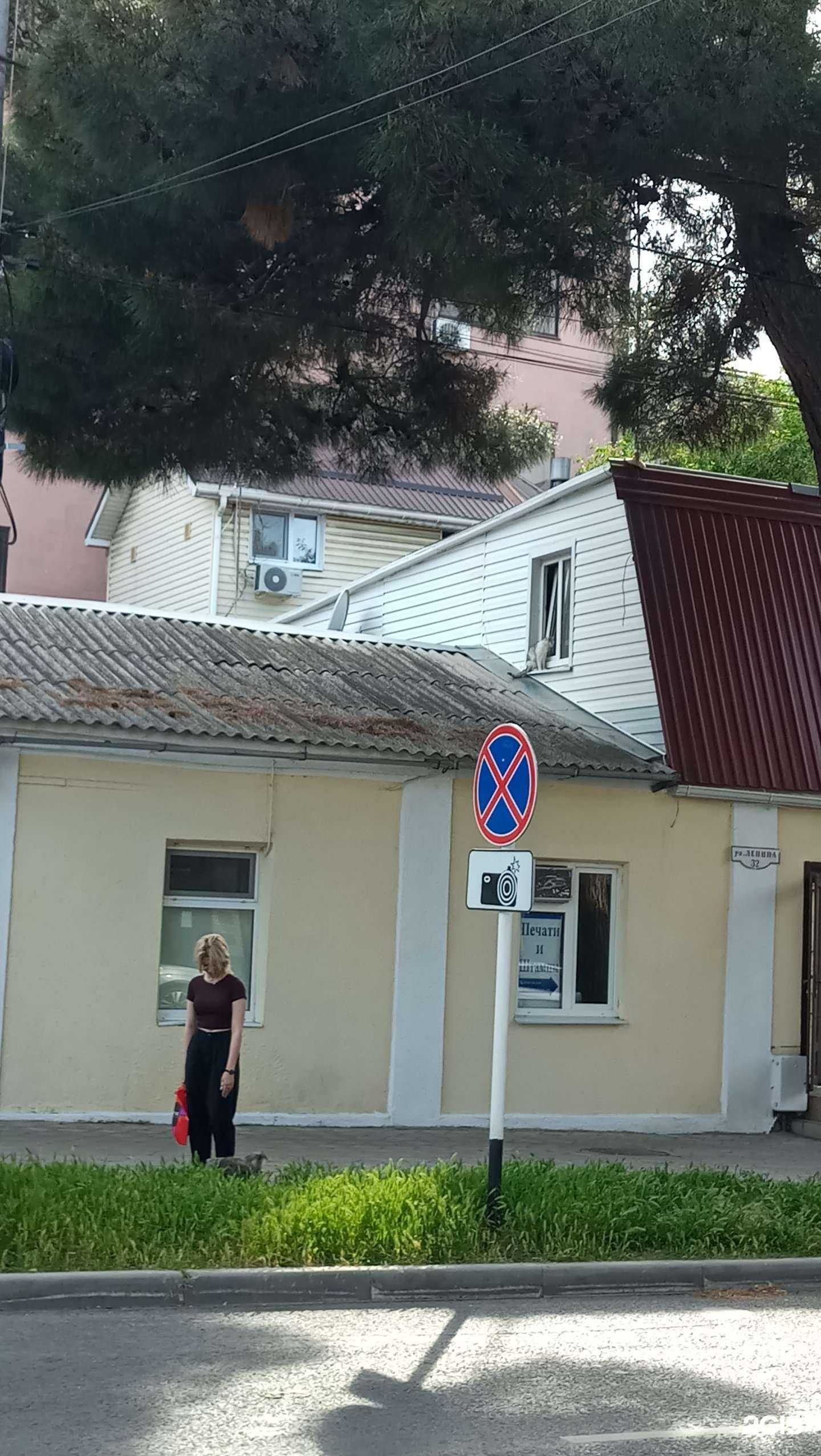 Отзывы на компанию Сервис по ремонту мобильной техники в Анапе c фото - фотография 2 из 2