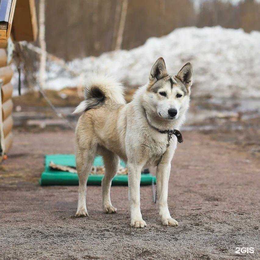 Отзывы на компанию Вера Надежда Любовь в г. Всеволожск c фото