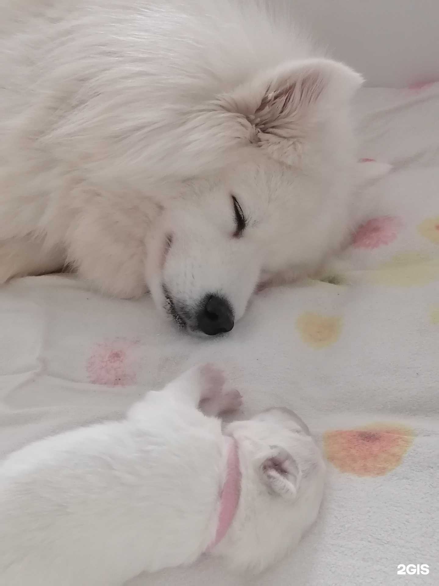 Отзывы на компанию Наследие в Челябинске c фото