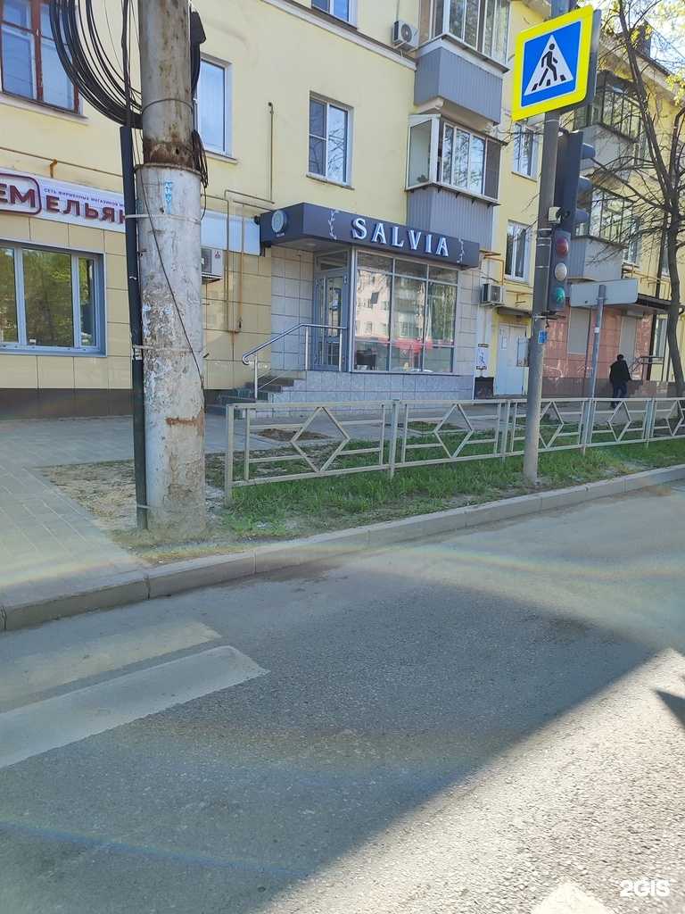 Отзывы на компанию Salvia в Липецке c фото